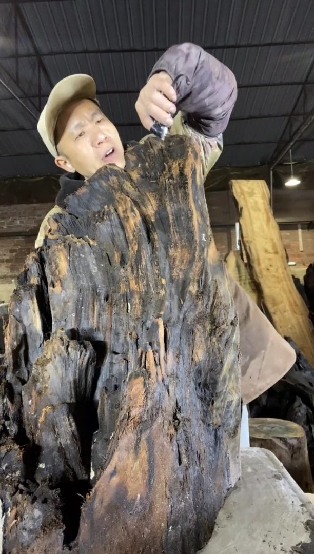 其他楠木（金丝楠）金丝楠小叶桢楠14