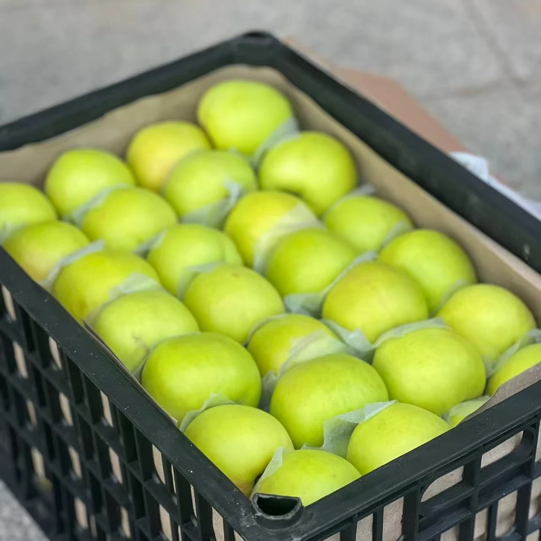 青苹果一斤新疆维吾尔自治区