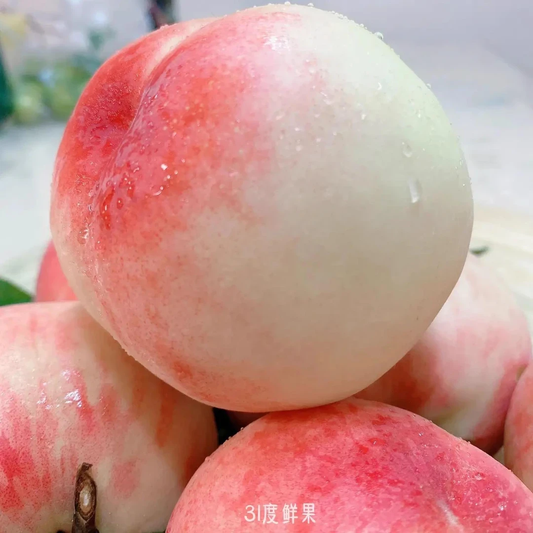 四川早熟水蜜桃树苗嫁接黄桃血桃树苖树当年结果树苗南方果树果苗