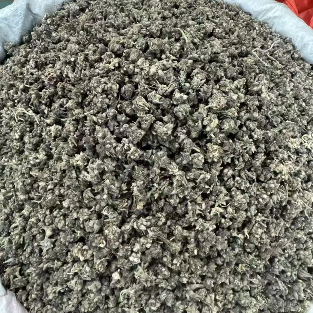 【玉姐精选】头茬安徽货嘢喵喵草 去节节