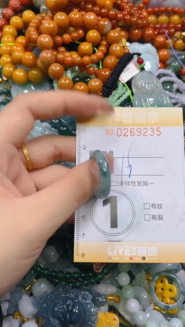 颈饰未镶嵌翡翠闪购0269235