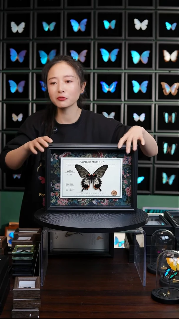 美凤蝶A4横框布艺款有尾