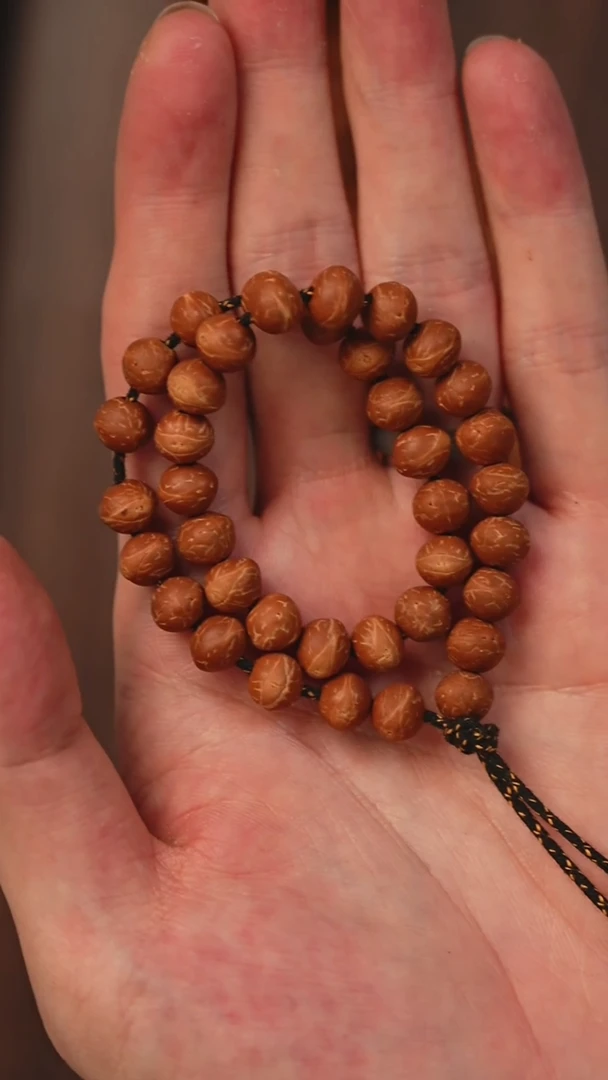 手串凤眼菩提S01酸枣核单圈金瞳