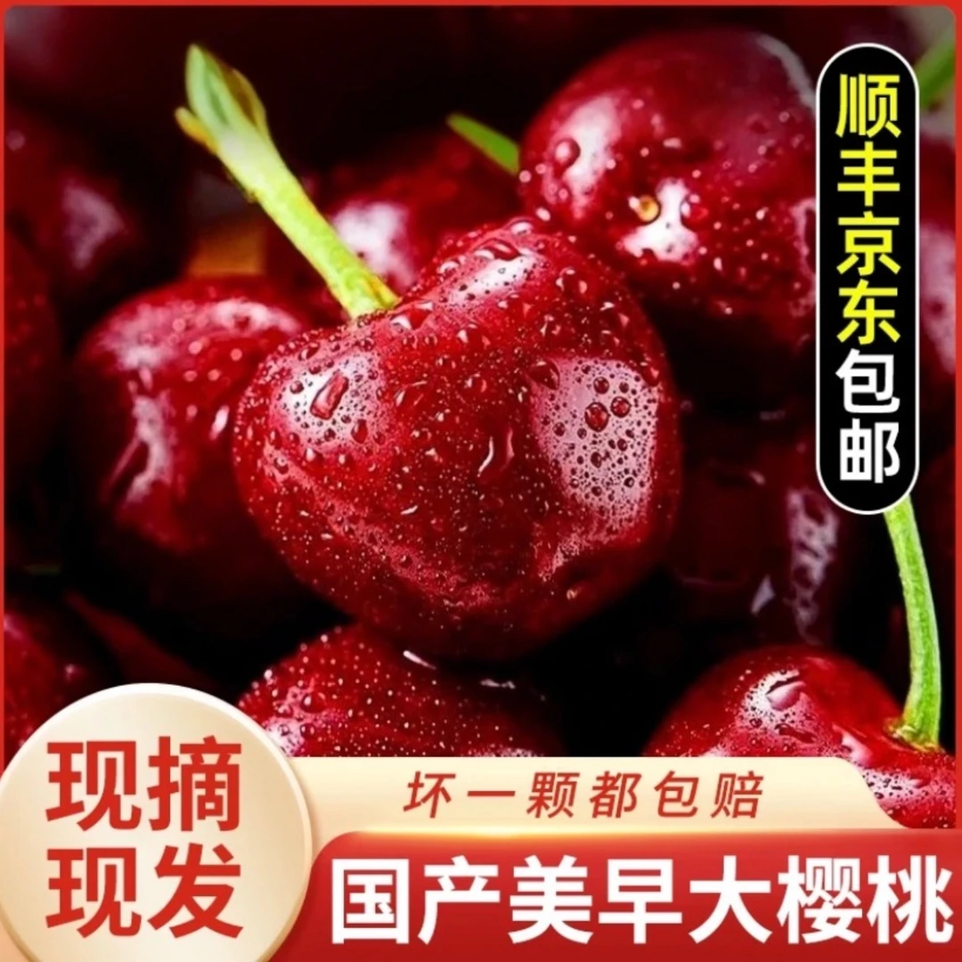 【现货】美早大樱桃新鲜采摘当季水果J-4J山东多仓发货（顺丰/京东）