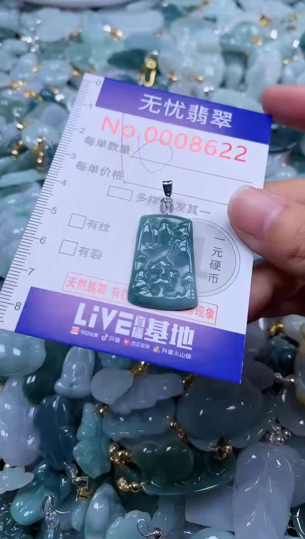 颈饰未镶嵌翡翠8622