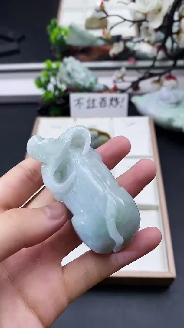 颈饰未镶嵌翡翠天然缅甸A货翡翠
