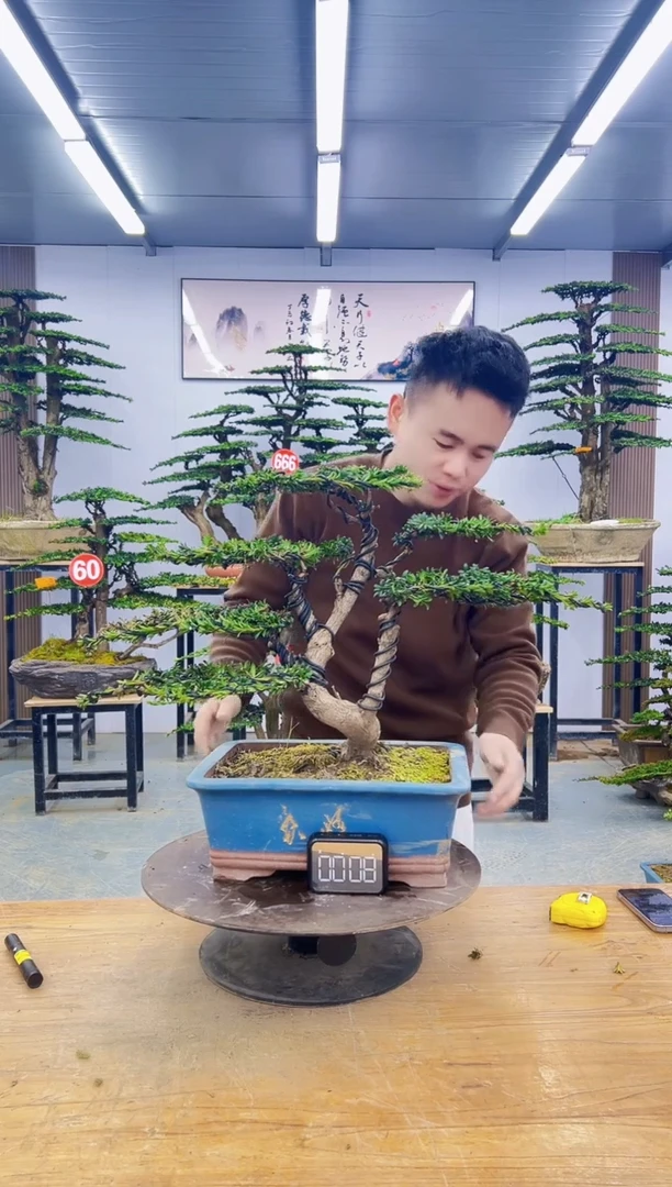 无花朵0000000000000000000000