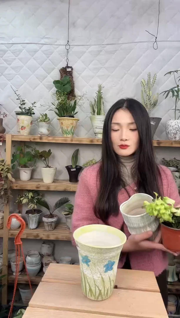 无花朵编号 444  景德镇手绘花盆12x14