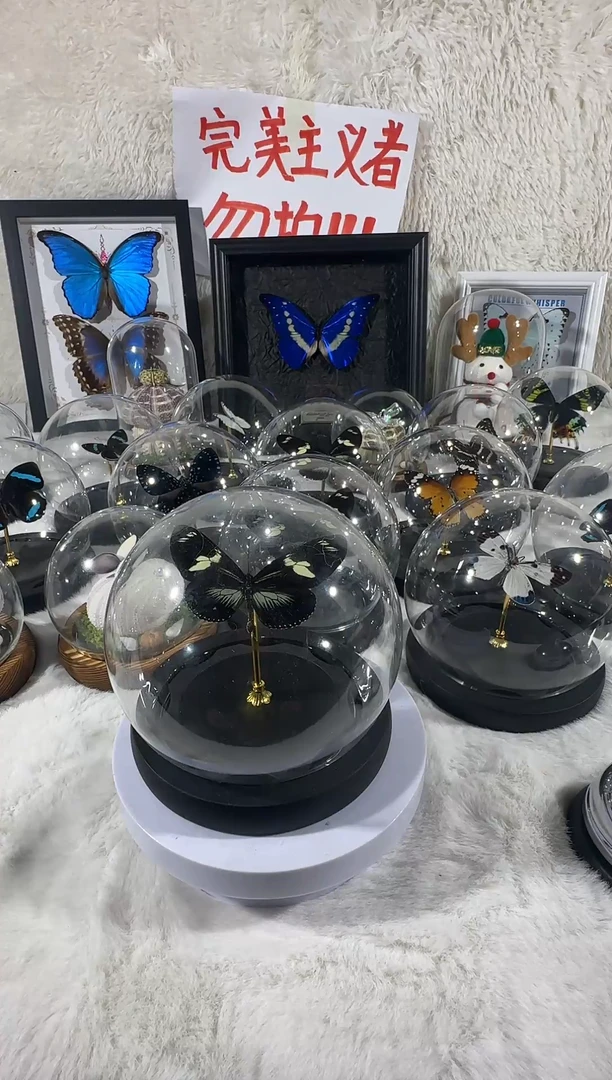 木海神袖蝶绿水晶球