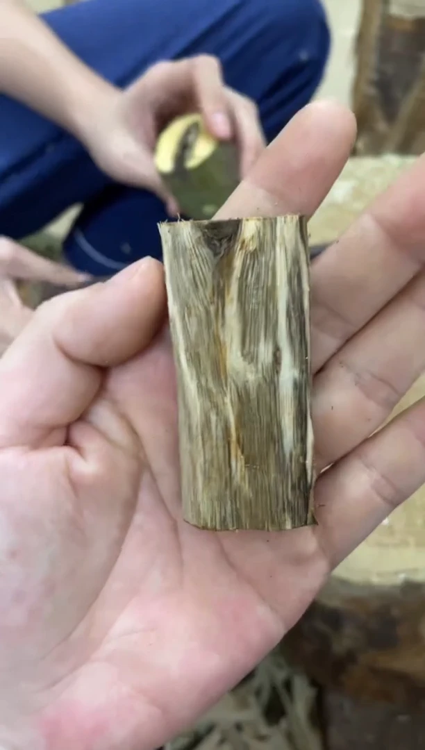 沉香沉香碎屑棋楠沉香 原料文创1