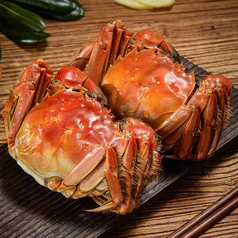 活蟹捆绳大母蟹2.5-3两冷链