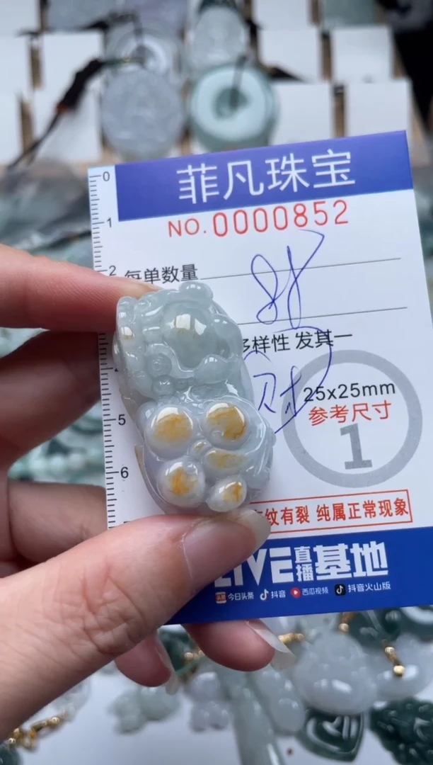 翡翠未镶嵌颈饰00..0852