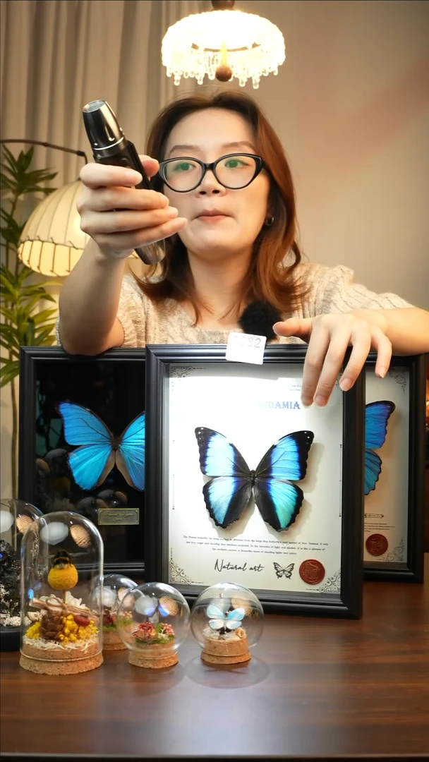 梦幻闪蝶-英文（10寸欧式黑框）A682