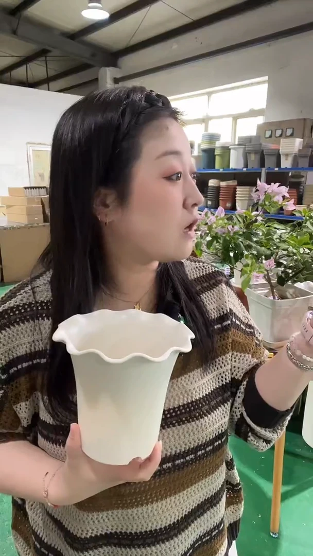 4套米白色荷叶边5001，带托