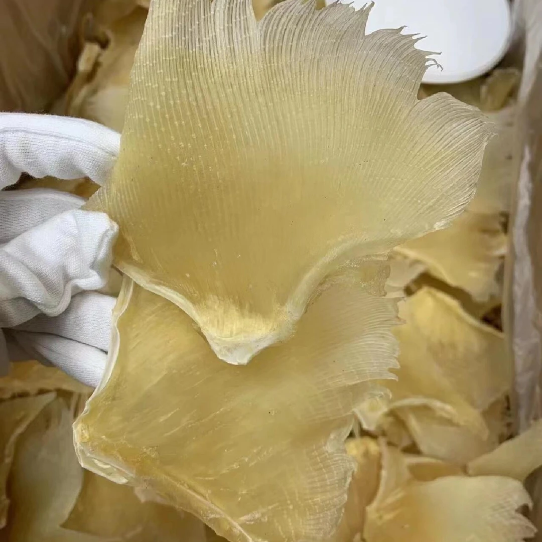 【特大号靓翅礼盒装】精选靓翅干肉质新鲜煲汤鲜甜海产干货