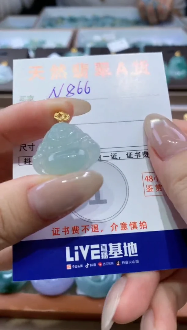 颈饰未镶嵌翡翠天然缅甸翡翠A货挂件