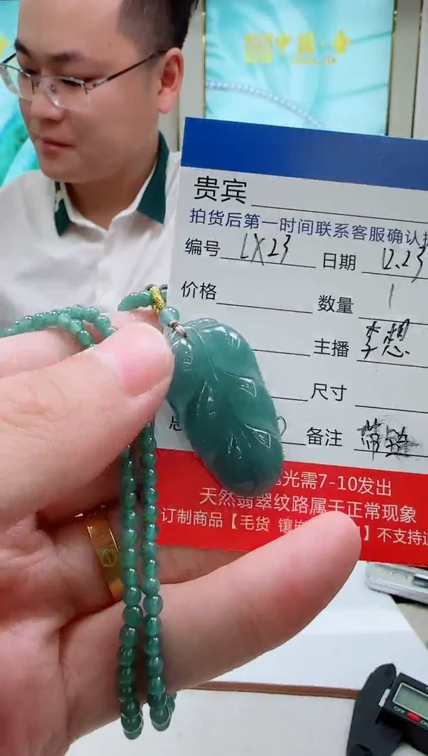 未镶嵌定制翡翠LX23翡翠吊坠赠珠链-多样性发其一