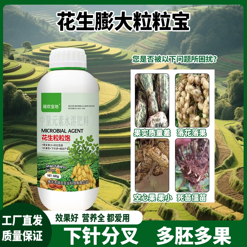 花生粒粒饱宝地专用果多果实籽粒饱满膨大抗倒伏增强品质增产增收