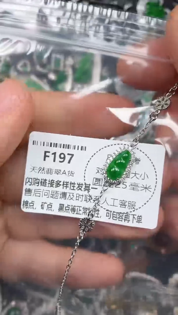 颈饰未镶嵌翡翠F197手链