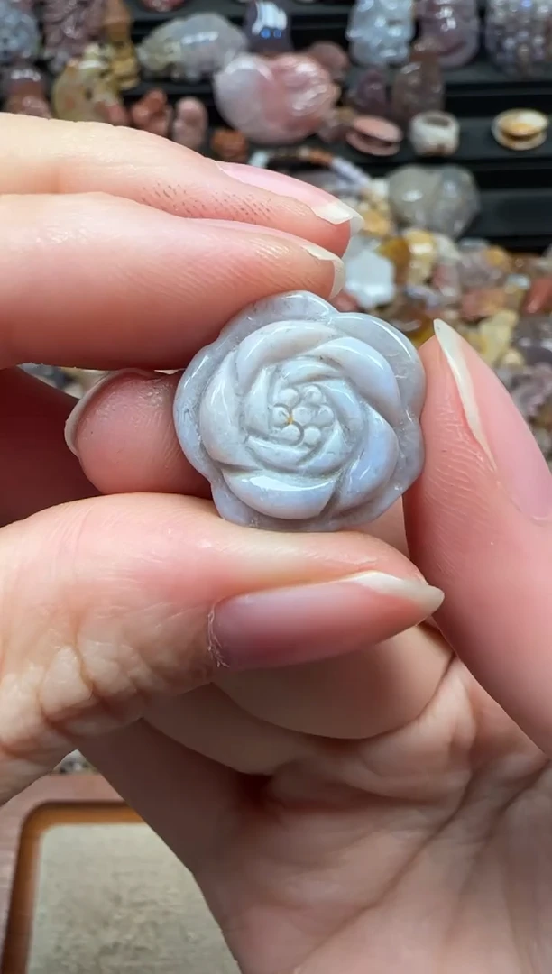 颈饰未镶嵌硅化珊瑚（珊瑚玉）763