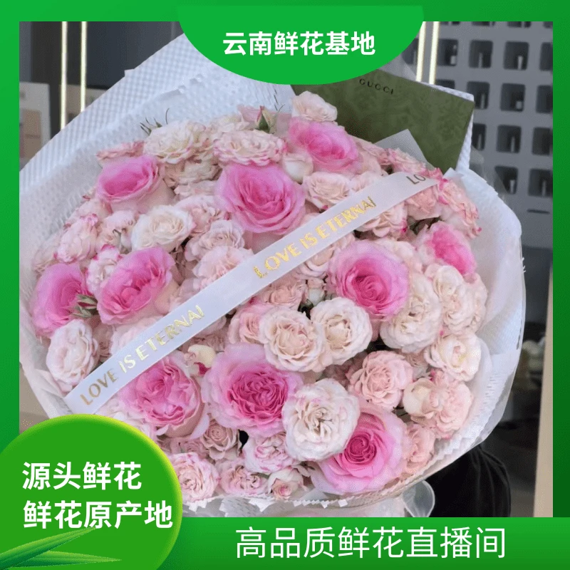颜花【洛神+折射】 云南基地鲜花直发