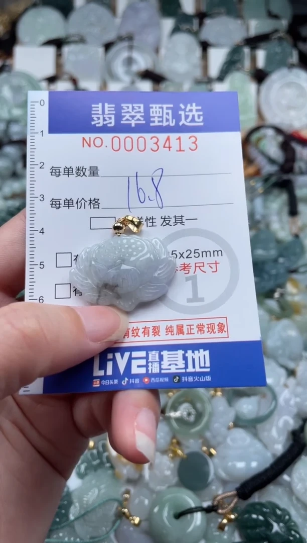 翡翠未镶嵌颈饰00..3413