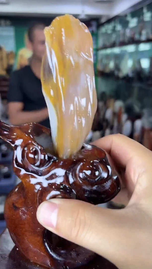 未镶嵌珠宝奇石硅化玉缅甸天然树化玉摆件