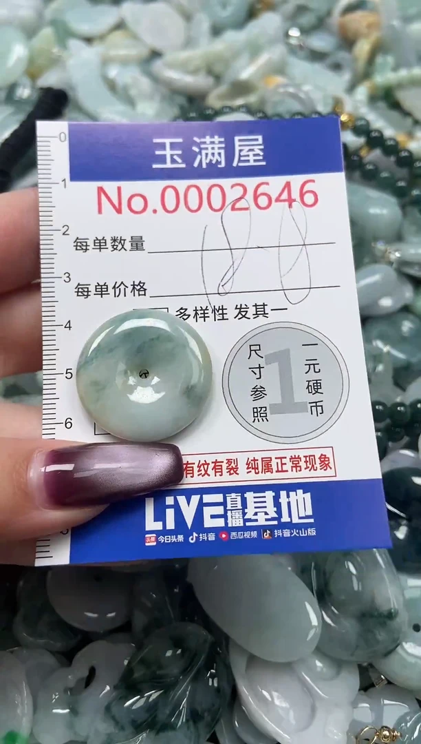 颈饰未镶嵌翡翠2646