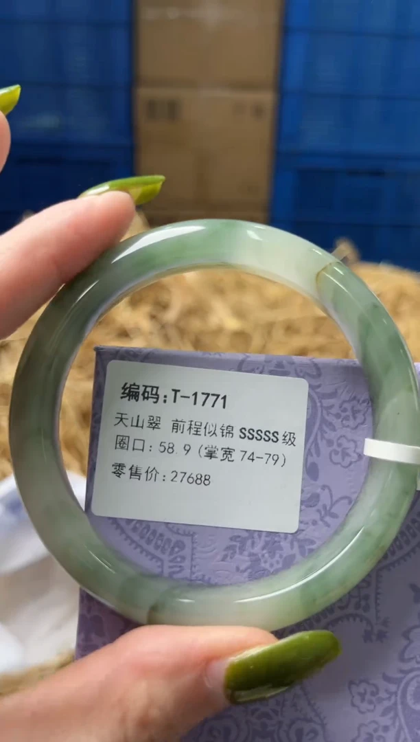 未镶嵌手镯石英质玉T1771