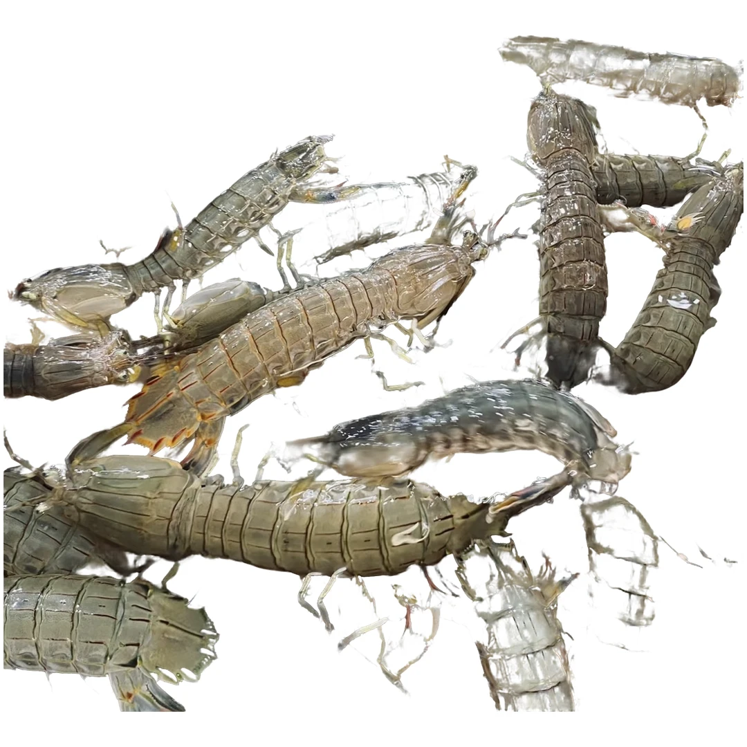 【保鲜】好吃的皮皮虾一斤