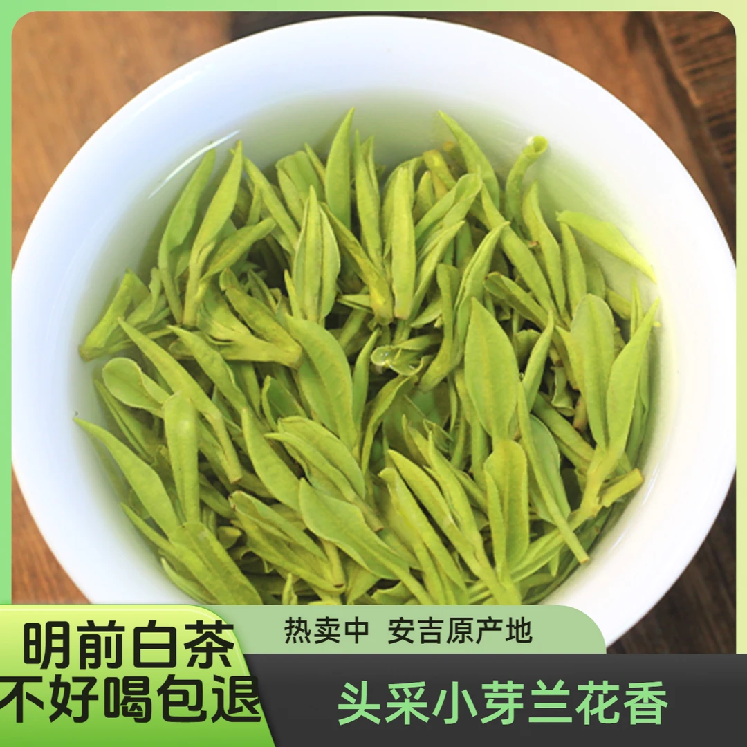 新茶【B60】明前头采小芽安吉原产地白茶浓郁兰花香