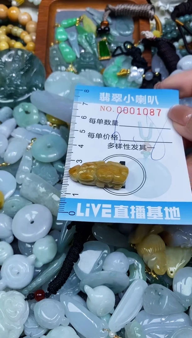 【闪购商品】翡翠颈饰未镶嵌闪购0001087