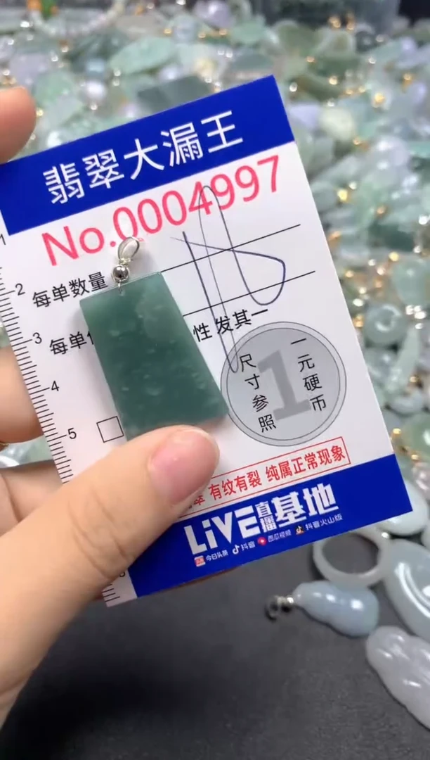 翡翠未镶嵌吊坠(不含链)4997