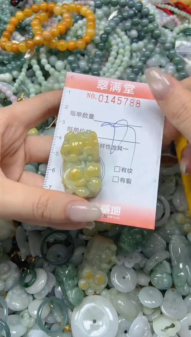 翡翠未镶嵌颈饰闪购0145788