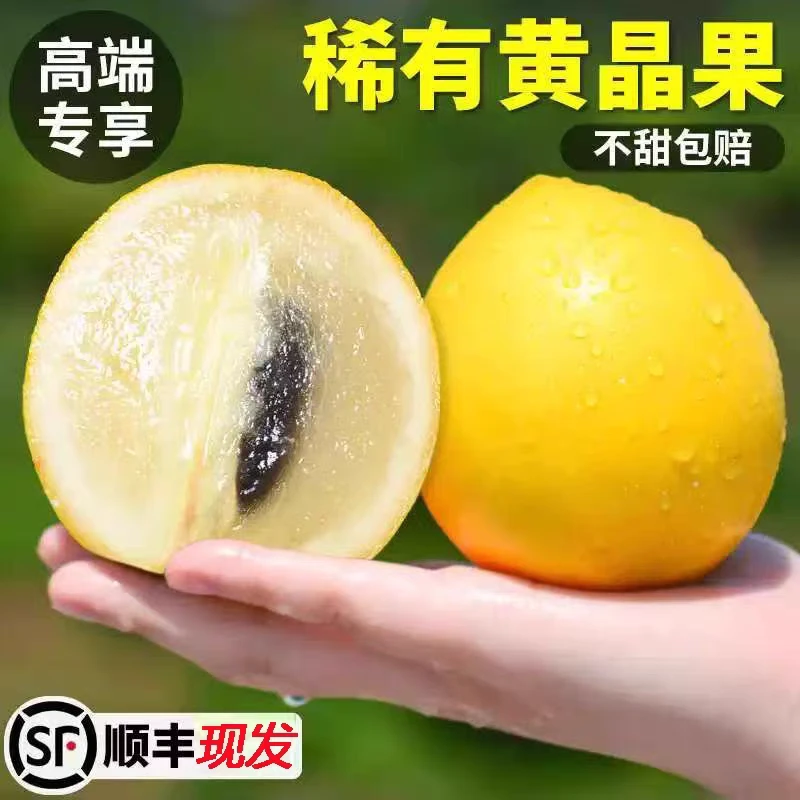 正宗西双版纳黄晶果1-4斤黄金果雅美果家庭装孕妇夏季消暑水果