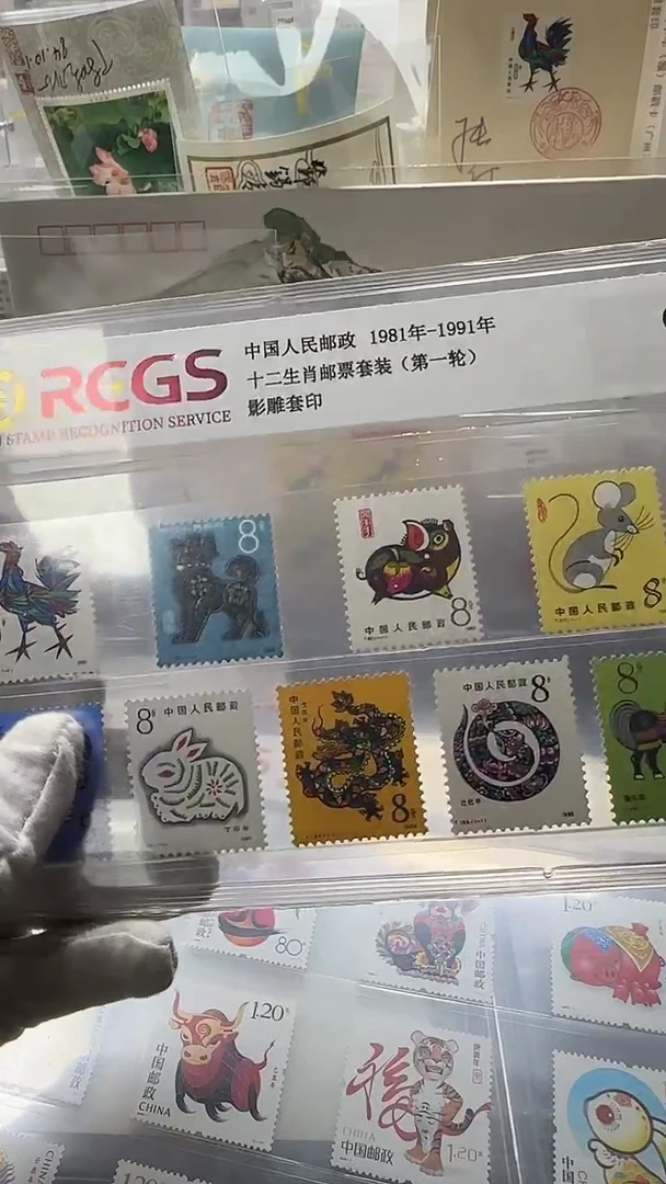 一轮生肖 原胶 11枚