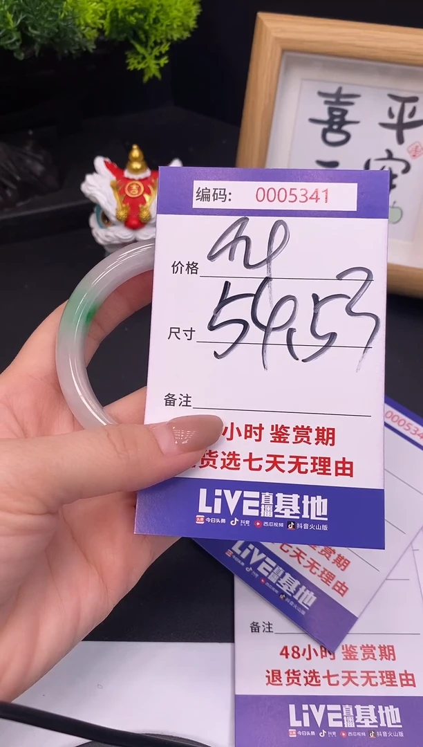 未镶嵌手镯翡翠0005341