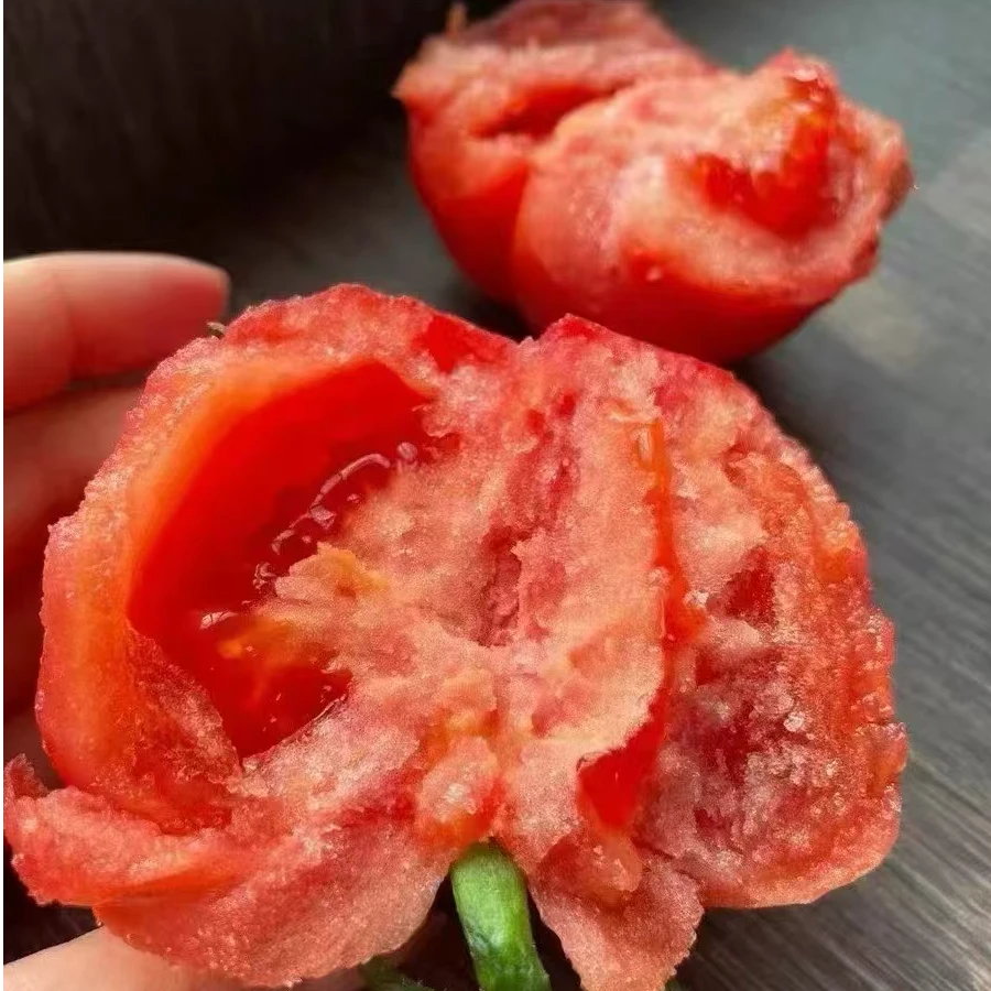 陕西普罗旺斯沙瓤西红柿 可以生吃的水果番茄 小时候的味道