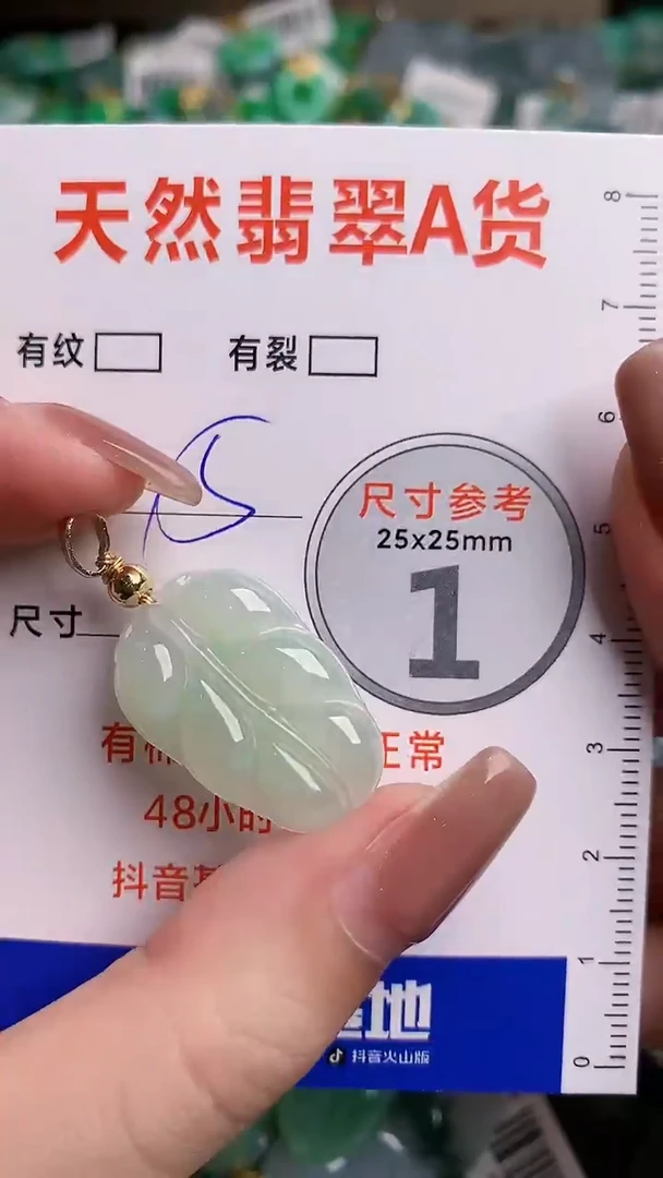 翡翠未镶嵌颈饰23000469