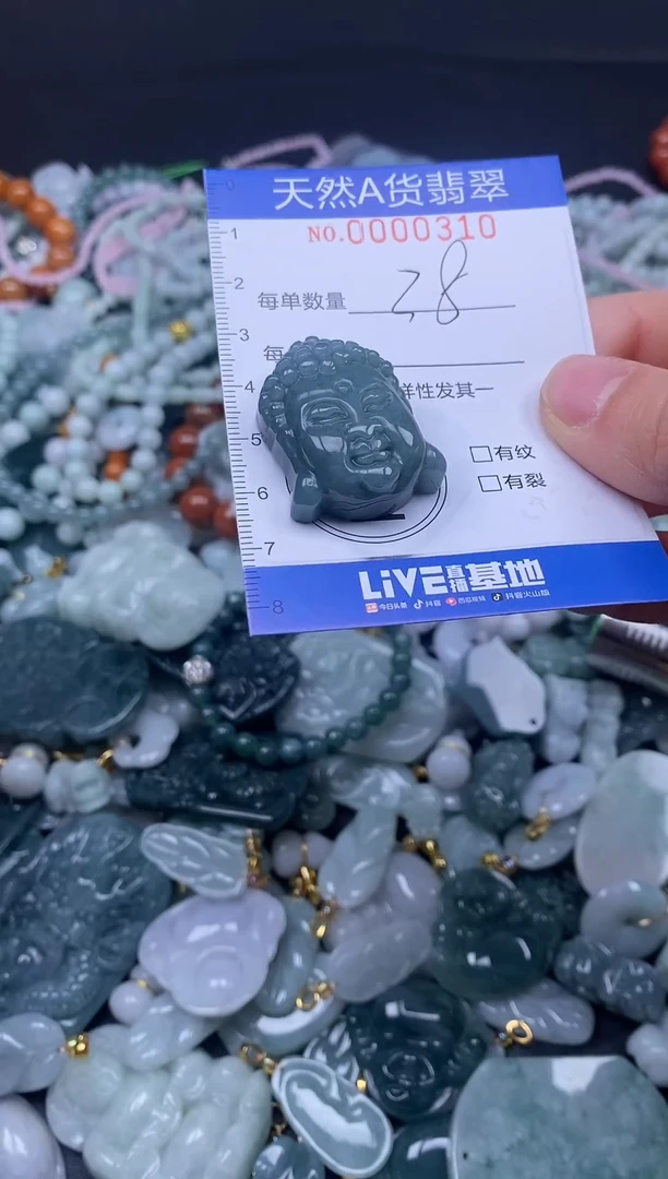 颈饰未镶嵌翡翠天然A货翡翠000310