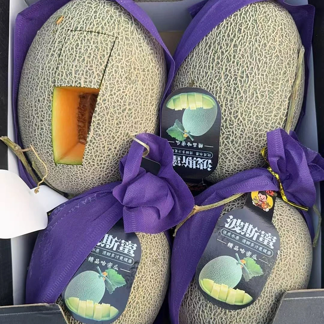 【两颗】【Y】【好吃西洲蜜哈密瓜】  仅限太原六城区榆次可拍