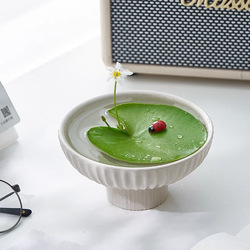 一叶莲水培水生水养植物鱼缸造景四季养龟适用懒人草植物荷花水草