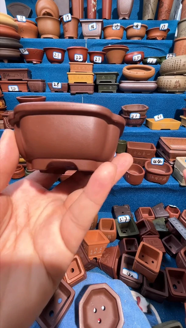 【闪购商品】紫砂紫砂花盆8*3.5