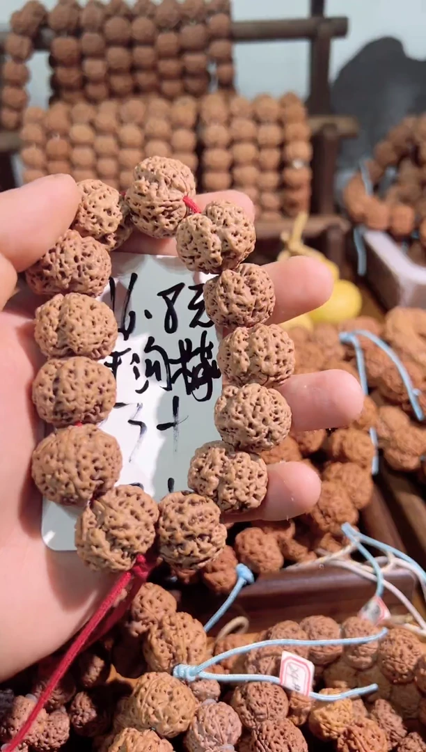 手串金刚菩提大金刚一物一图021