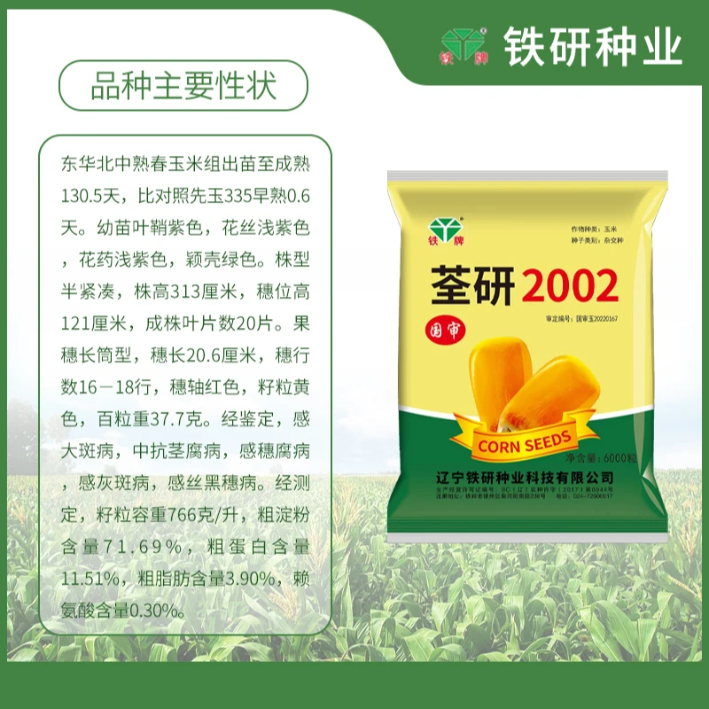 铁研荃研2002玉米种子筒型大棒米质金黄抗旱抗涝