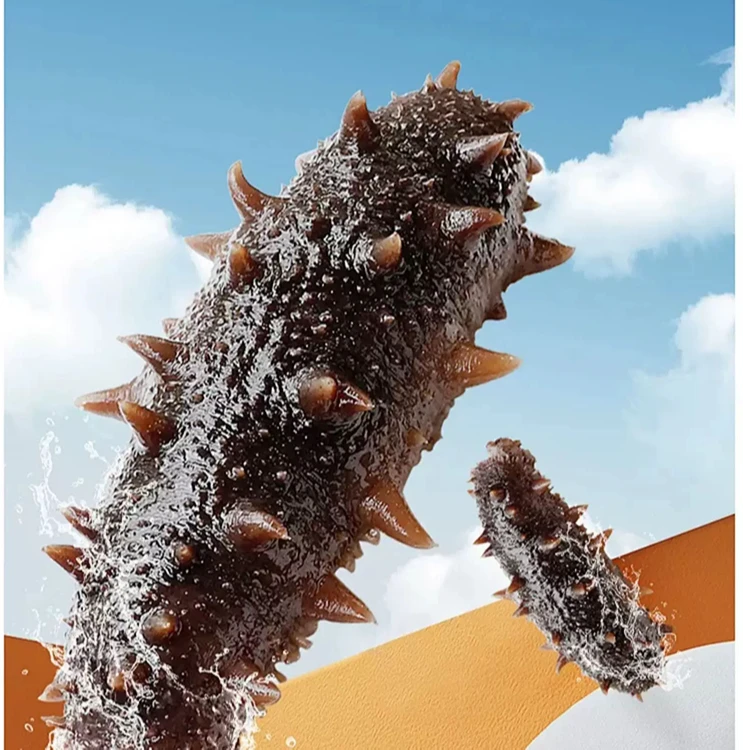 【QQ弹弹】3-10头大连深海辽刺参即食海参大连发货（半斤起拍）