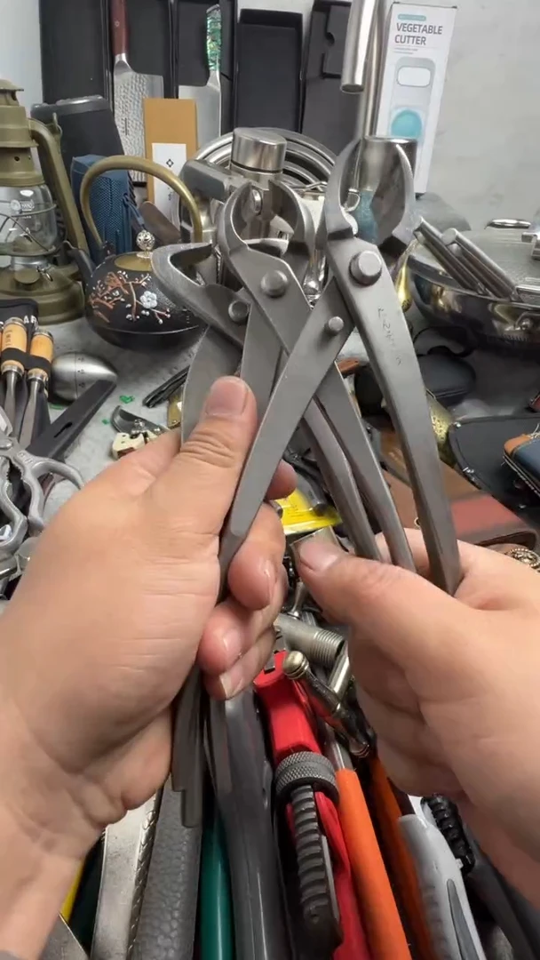 瓷片瓷片东京很热杂货正品保证