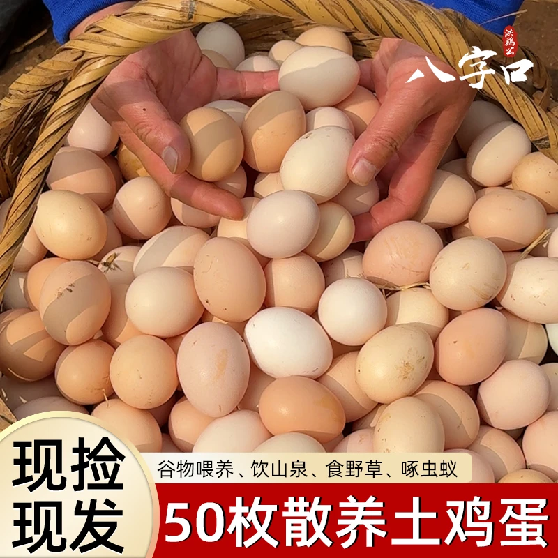 【50枚新鲜土鸡蛋】 当天现捡现发巢湖山区正宗月子孕妇土鸡蛋