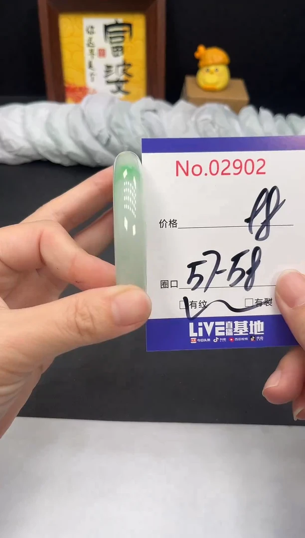 未镶嵌手镯翡翠拍下以实物为准2902