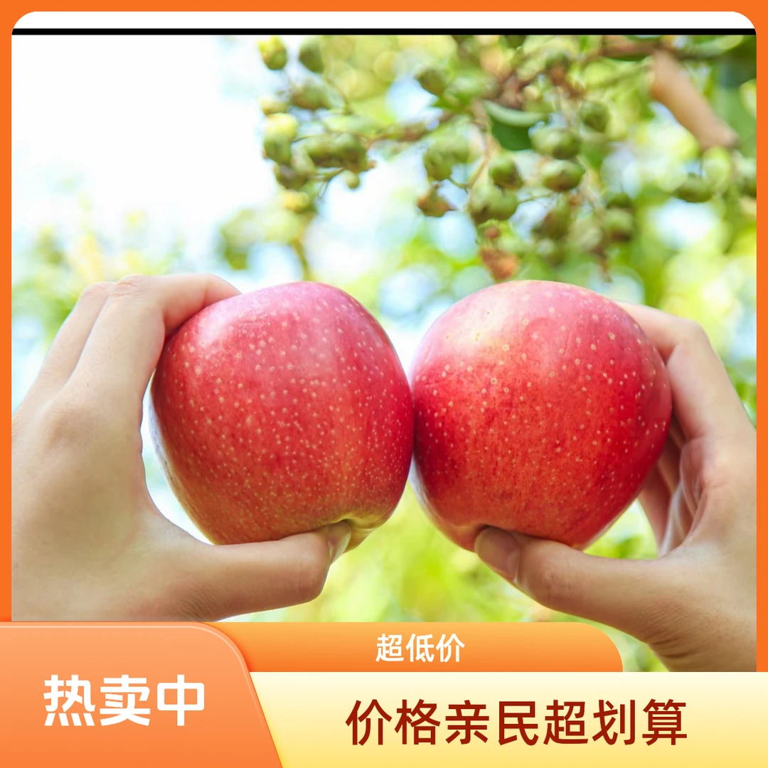 2025新鲜洛川红富士（阳光苹果）